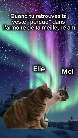 Moi veste