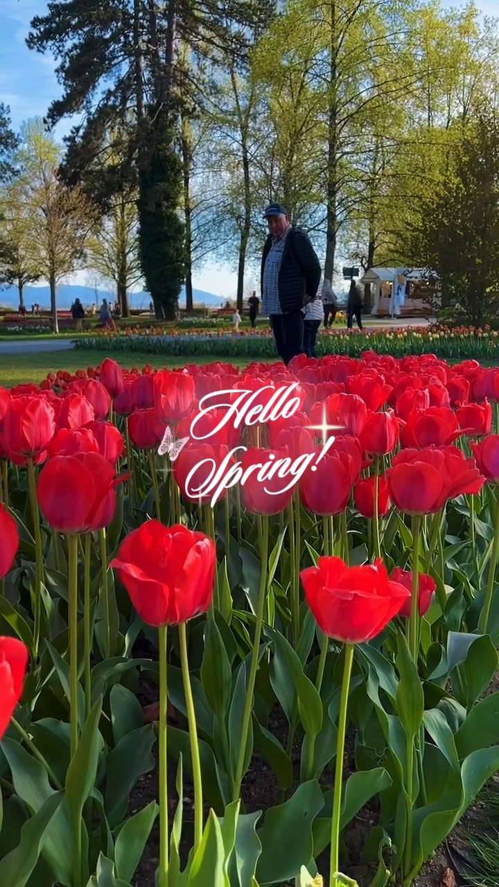 Hello Spring 