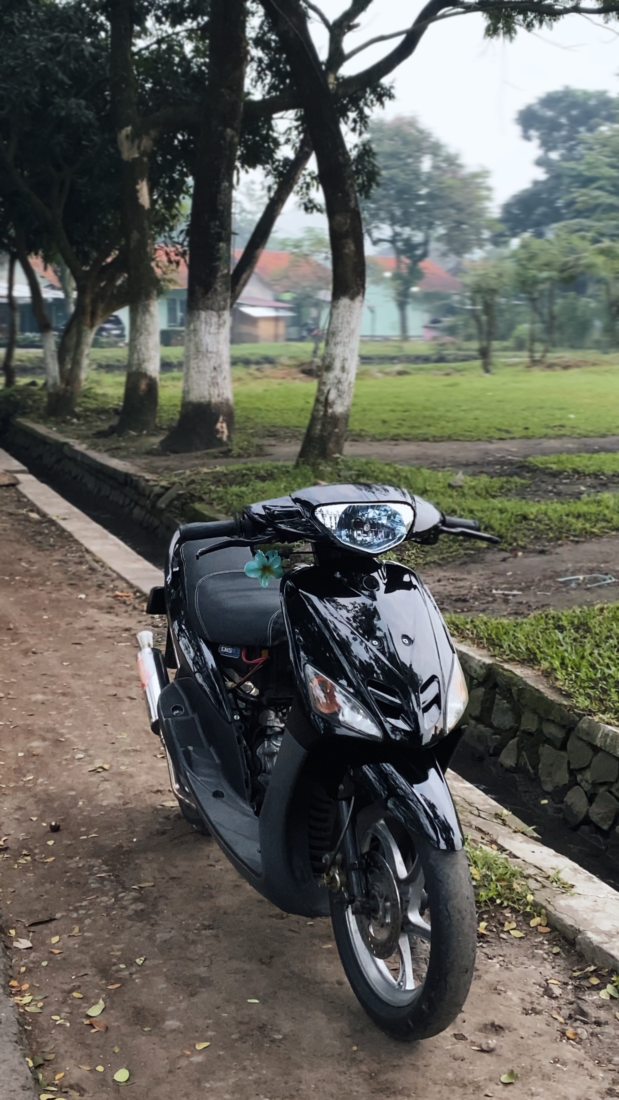 Cover Picture