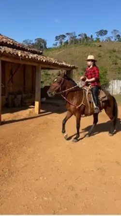 Meu Cavalo