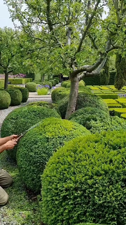 Berkebun