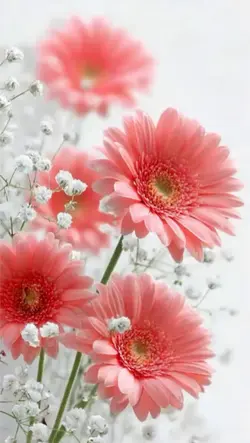 3D Wallpaper