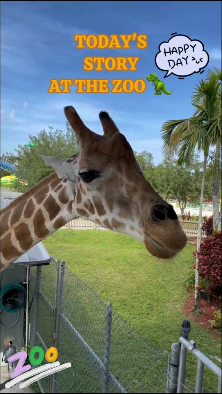 VACACIONES EN EL ZOO