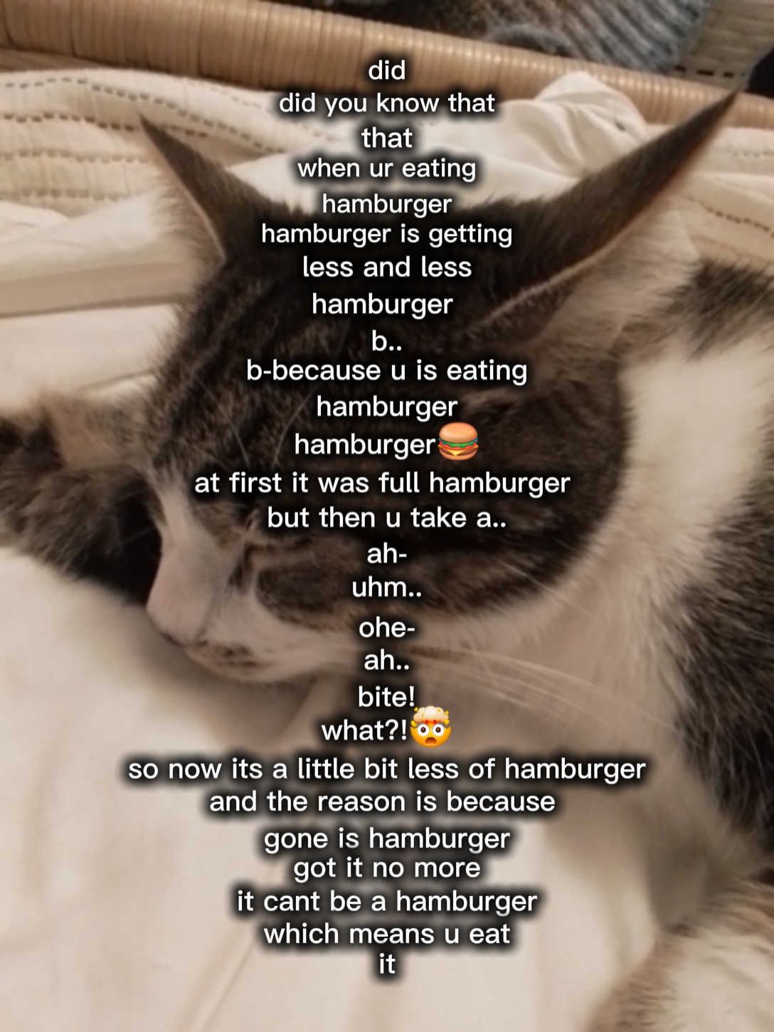 Hambúrguer