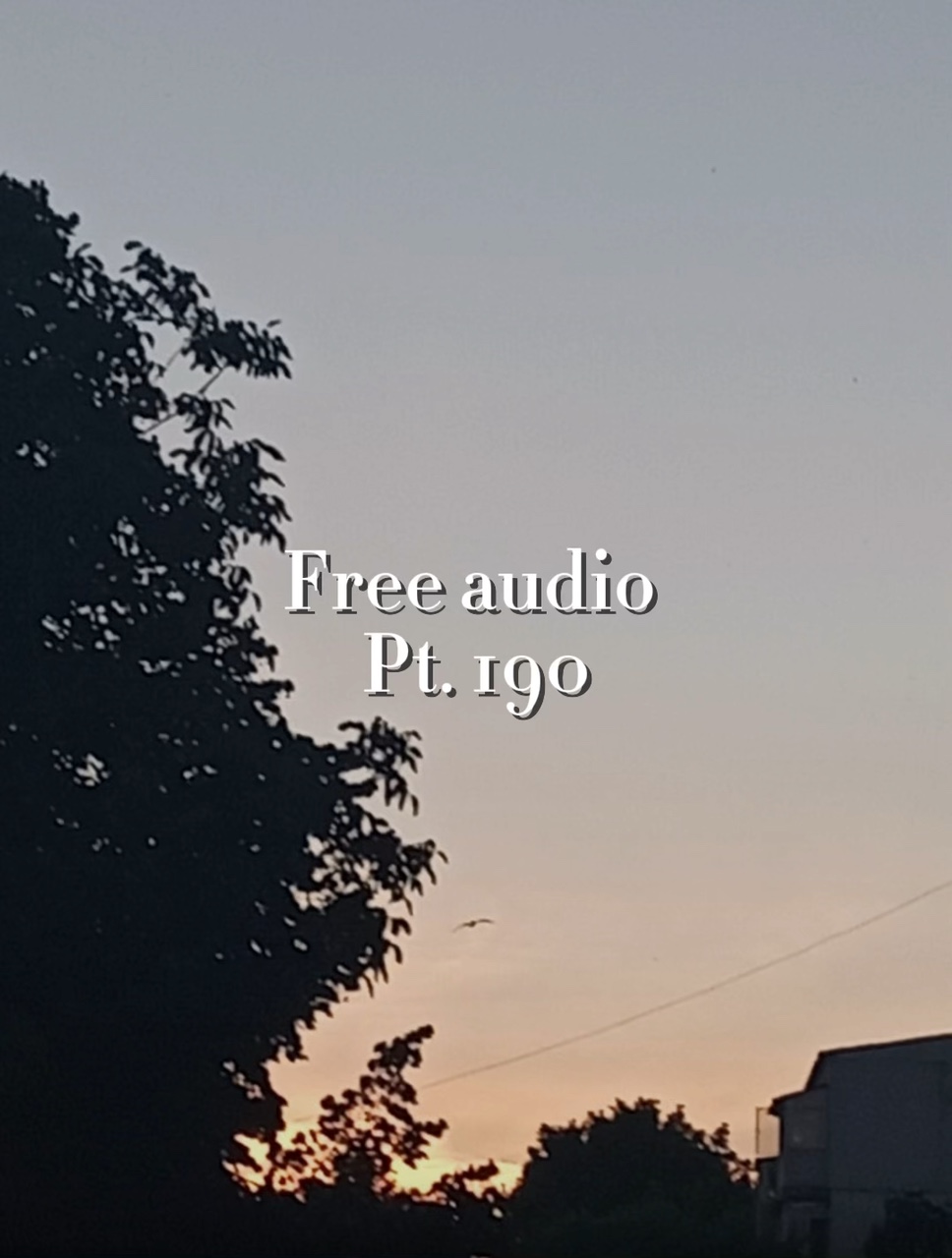 Cover Picture