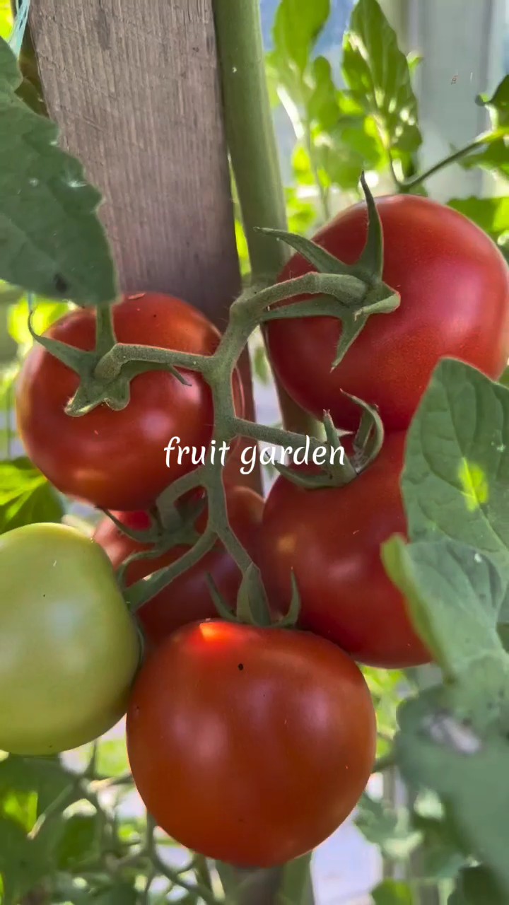 fruit garden