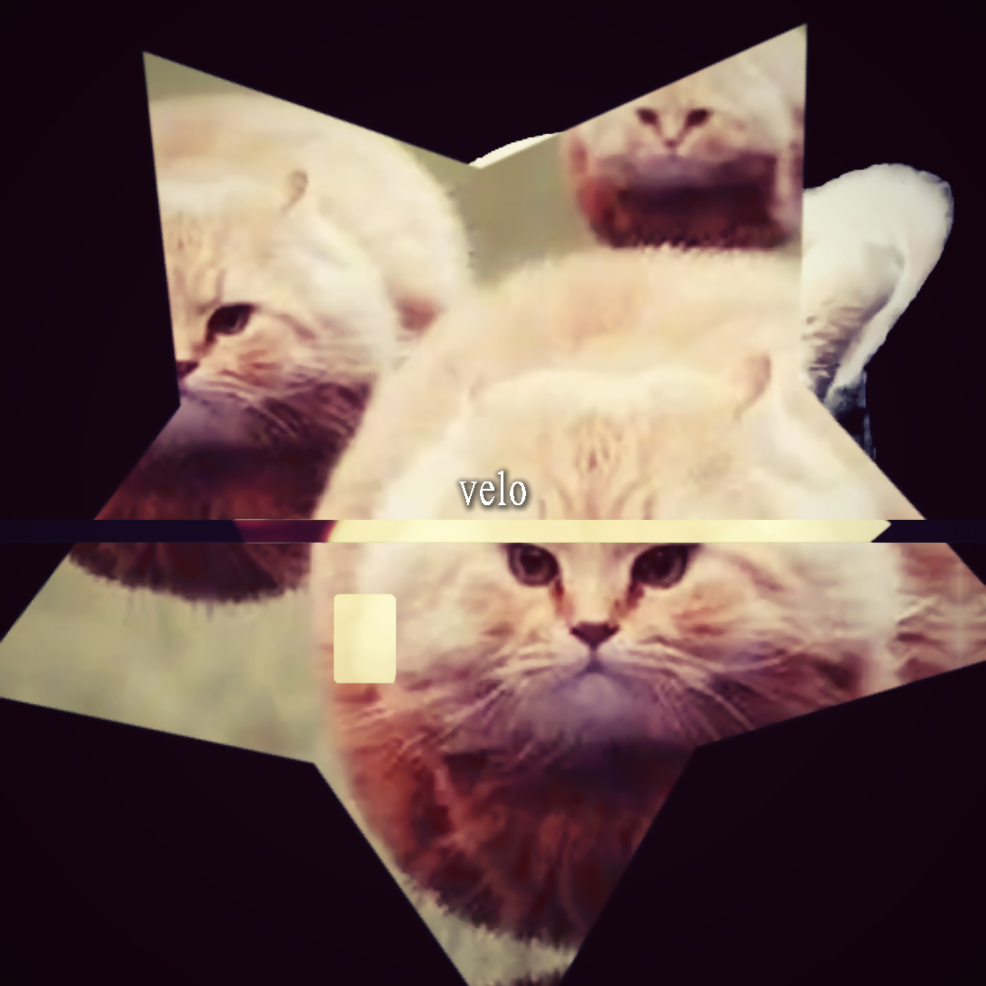 spinning cat edit