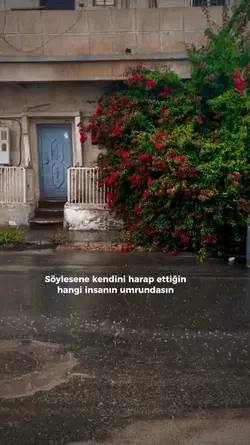 hercai..