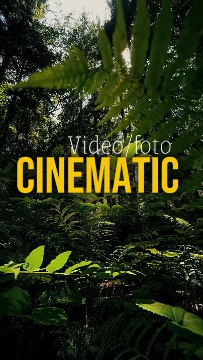 Cinematic Clips 