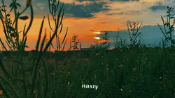 Nasty rimex