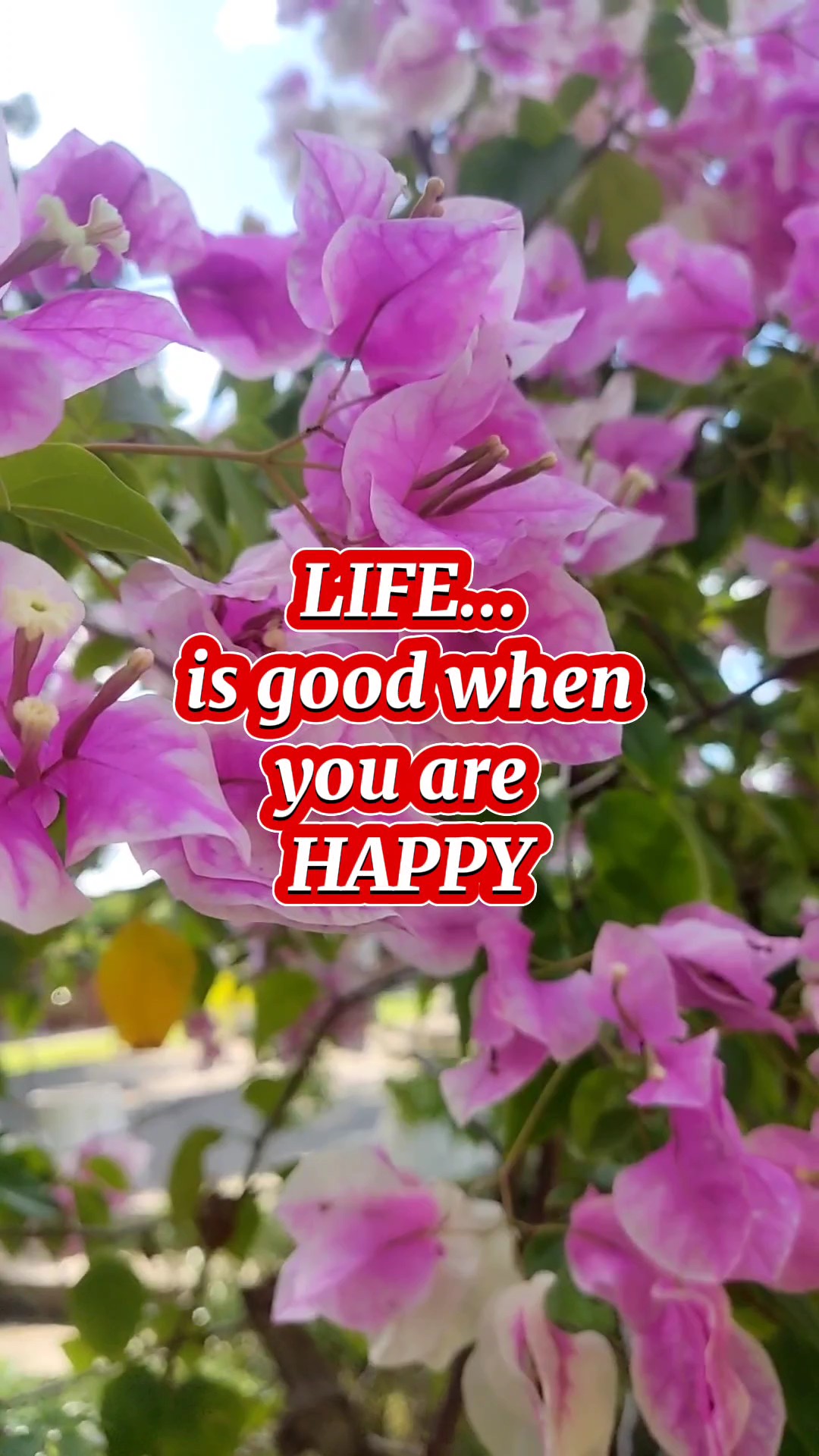 Life is good
