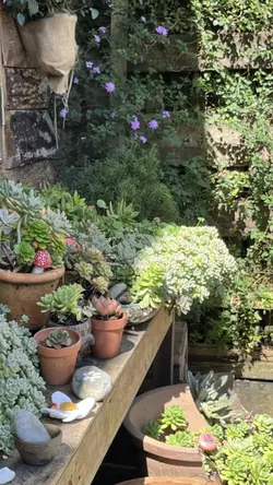 7 ảnh nhẹ nhàng