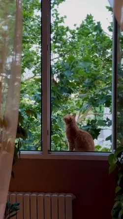 Cat lovers