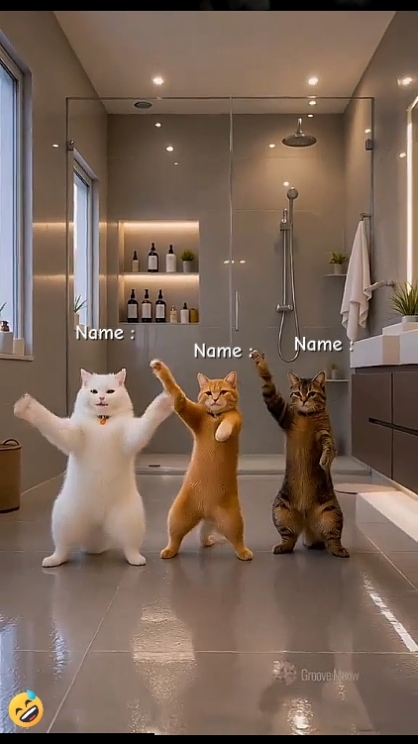 Tendencia del gato de baile