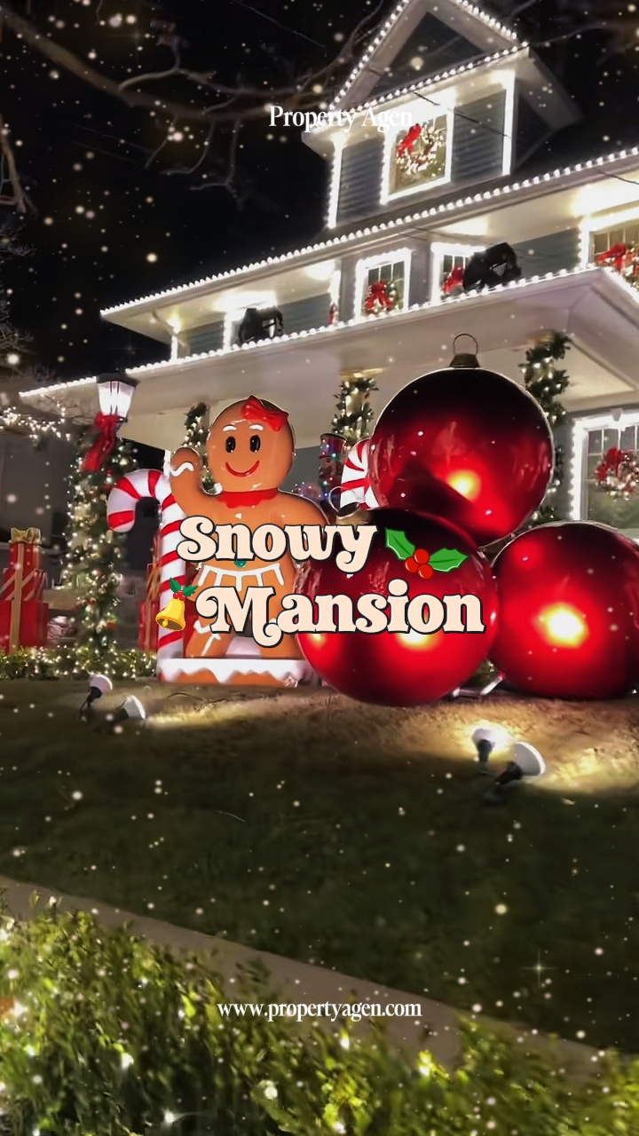 Snowy mansion 