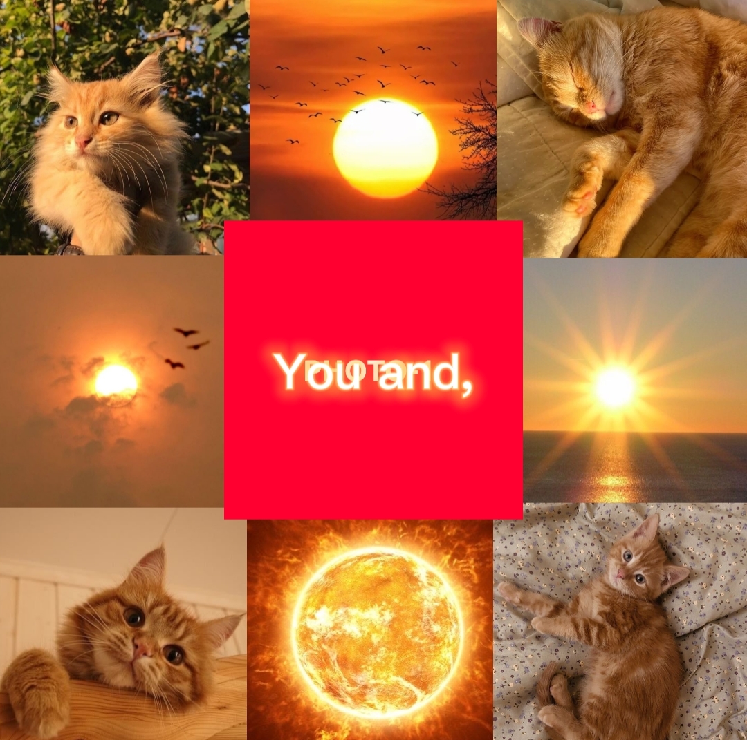 Trending Top Edit