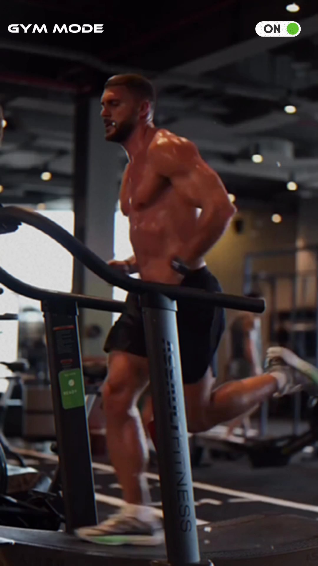 Entrenamiento físico 