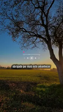 bom dia