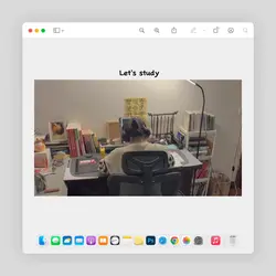 Study and study