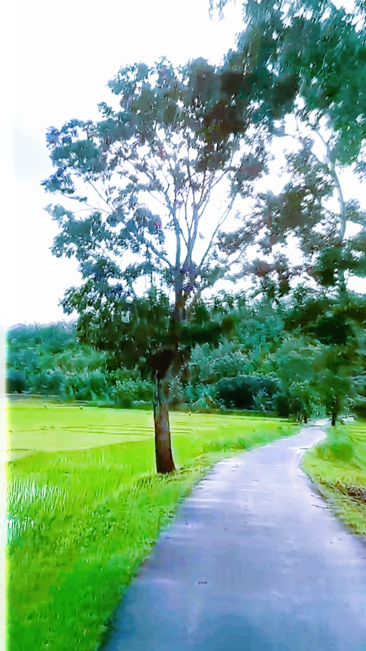 Travel with friend