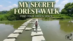 Secret Forest Walk