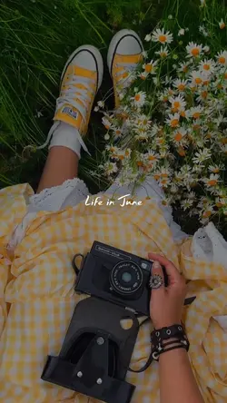 Life in june