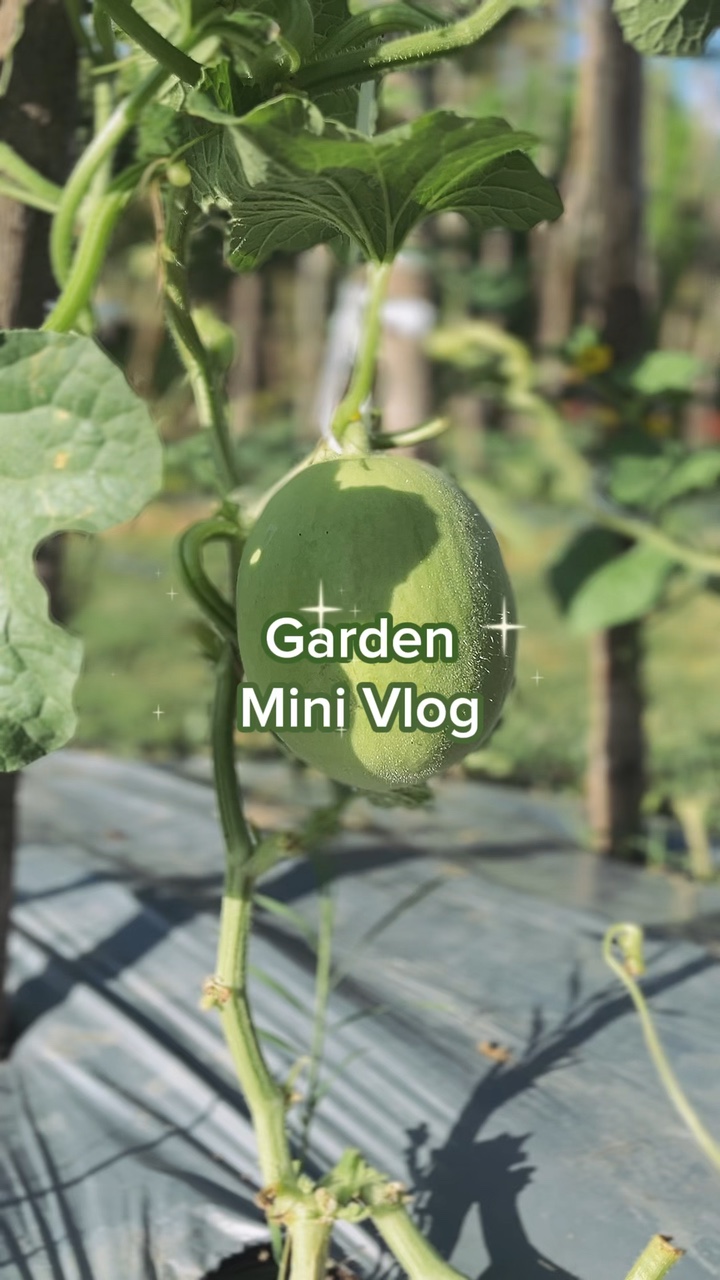 Bahçe Mini Vlog