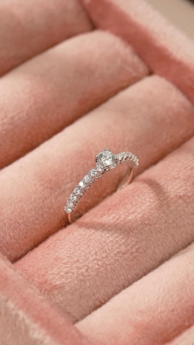 Ürün Tanıtımı