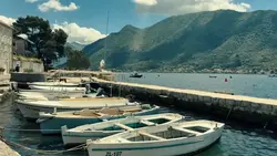 5 videos