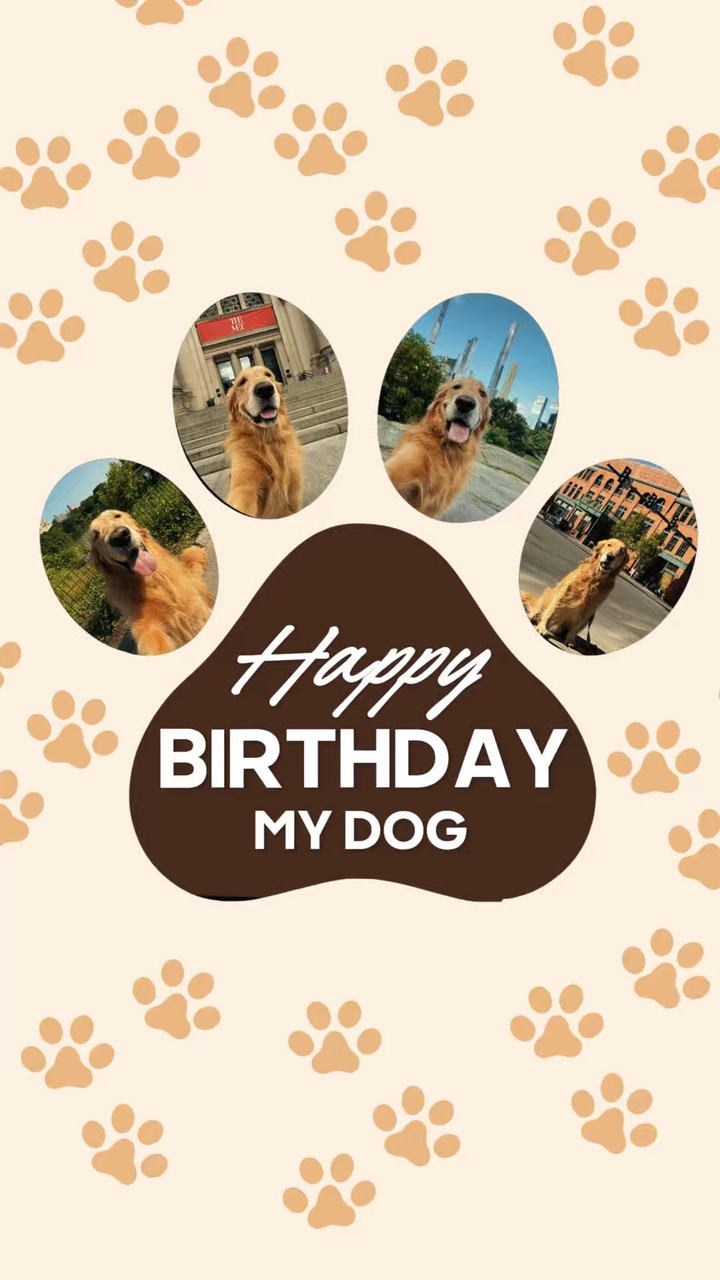 Geburtstag mein Hund