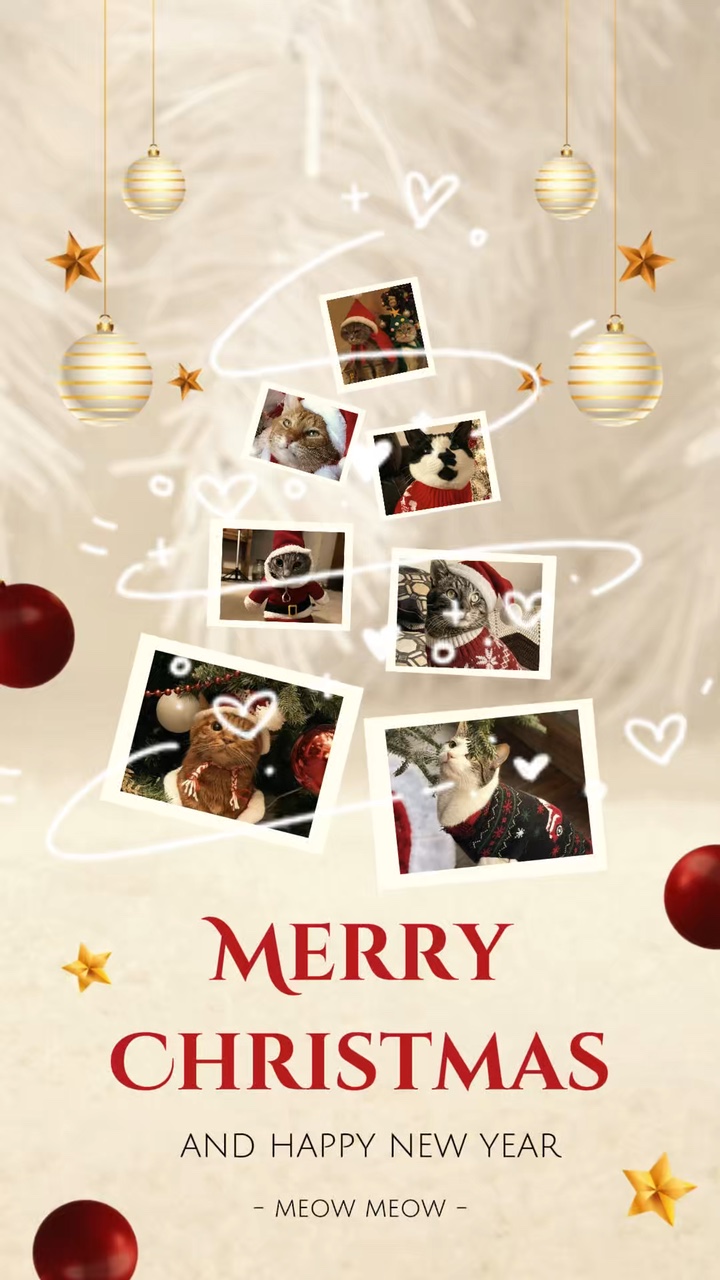 Navidad de gato 