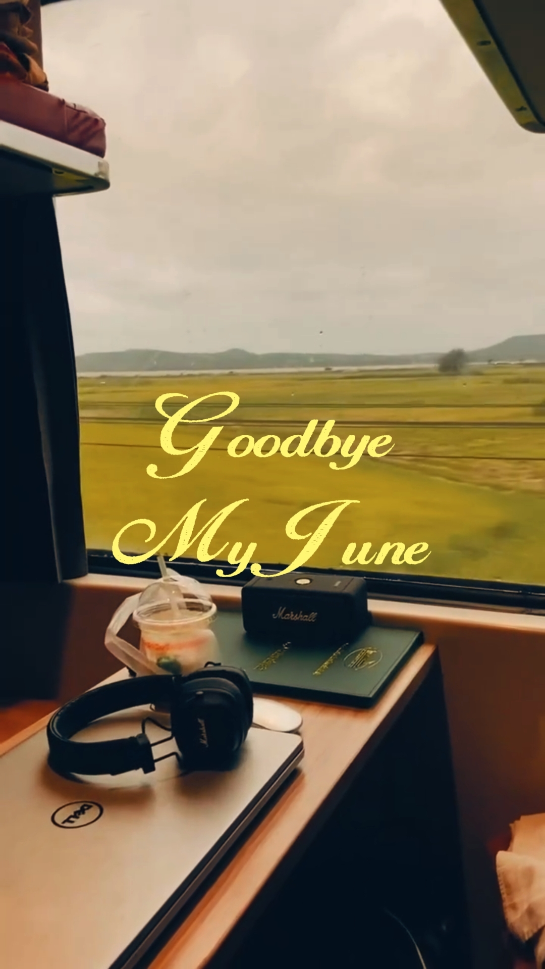 selamat tinggal myjune