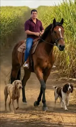 Horse riding 