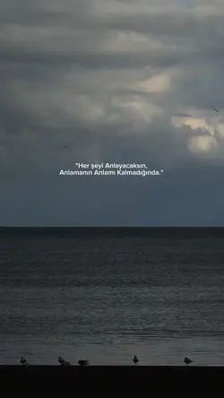 Anlayacaksın