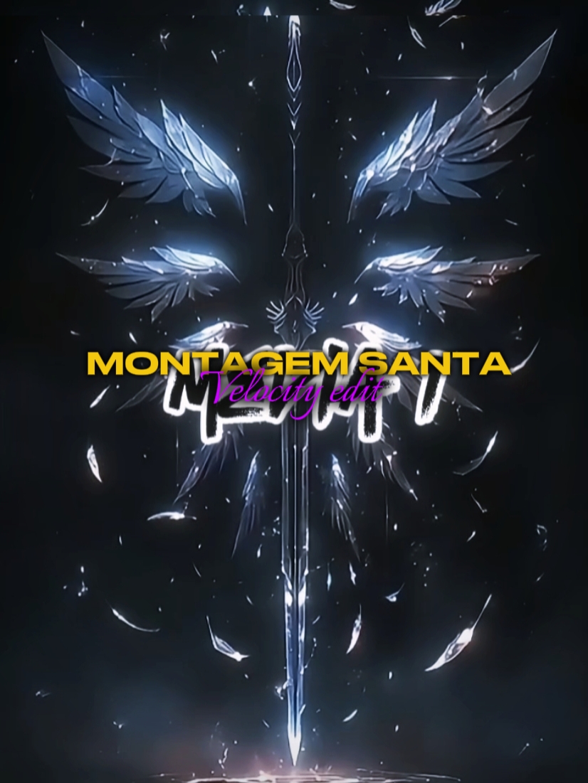 MONTAGEM SANTA