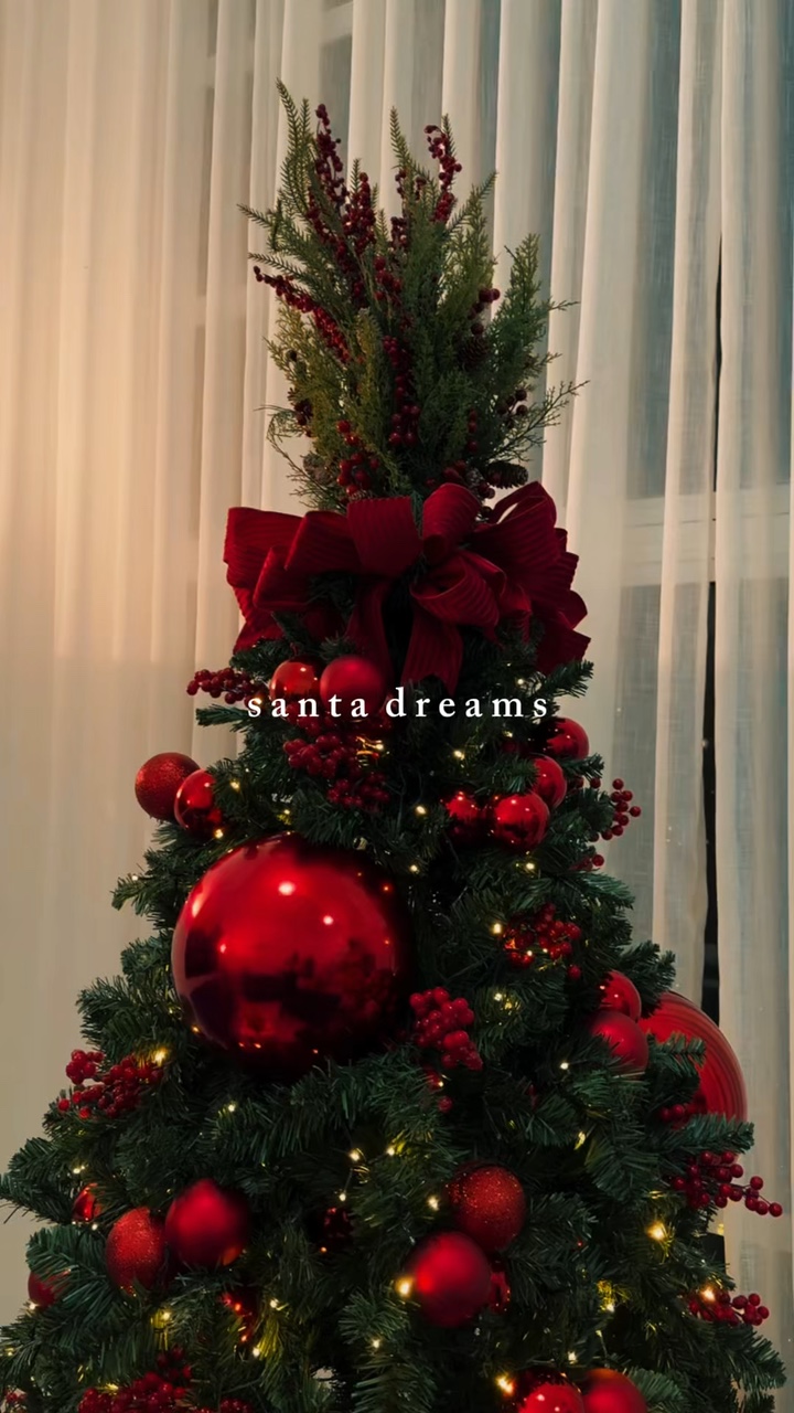 Santa dreams 