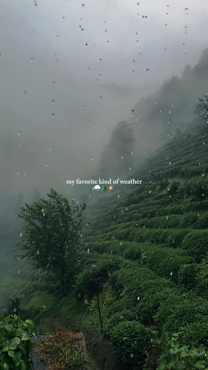 rain