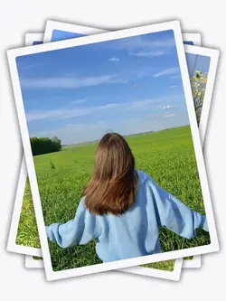 12PicFrame Aesthetic