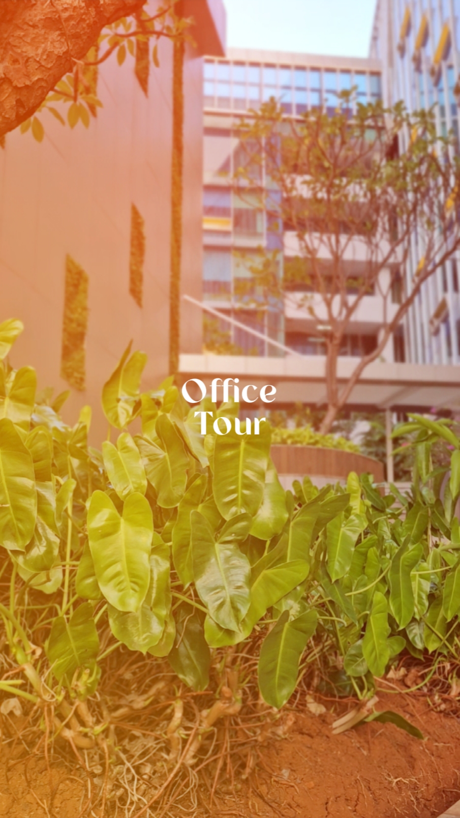 office vlog