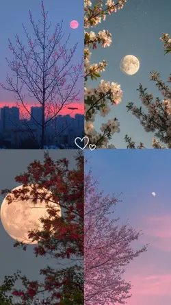 moon collage