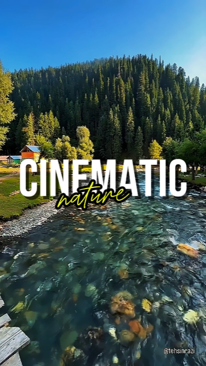 CINEMATIC NATURE