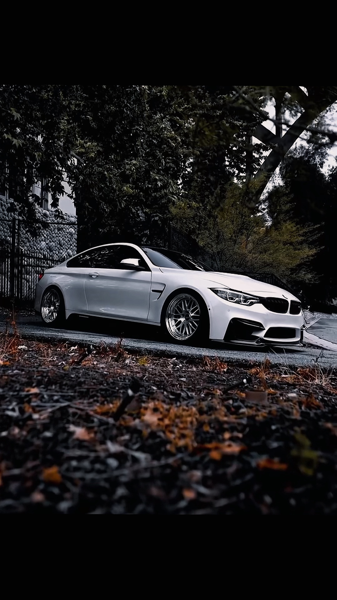 < SLOWMO — BMW >