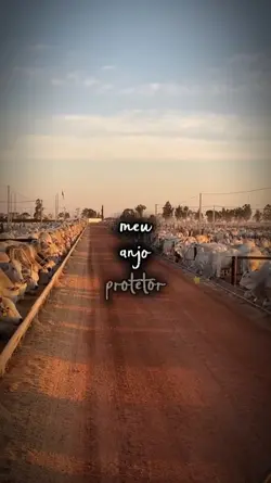 anjo protetor 