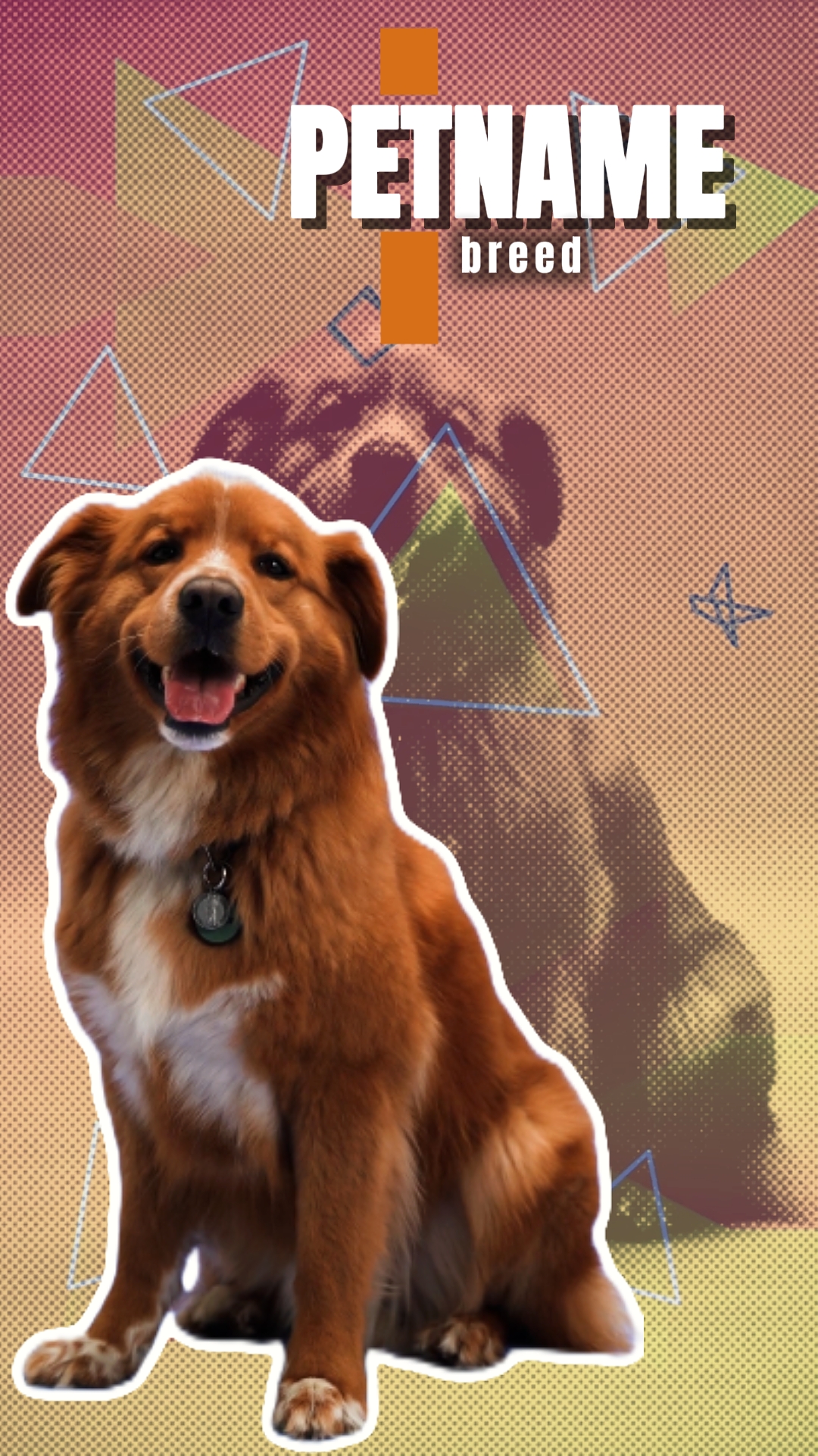 pet intro