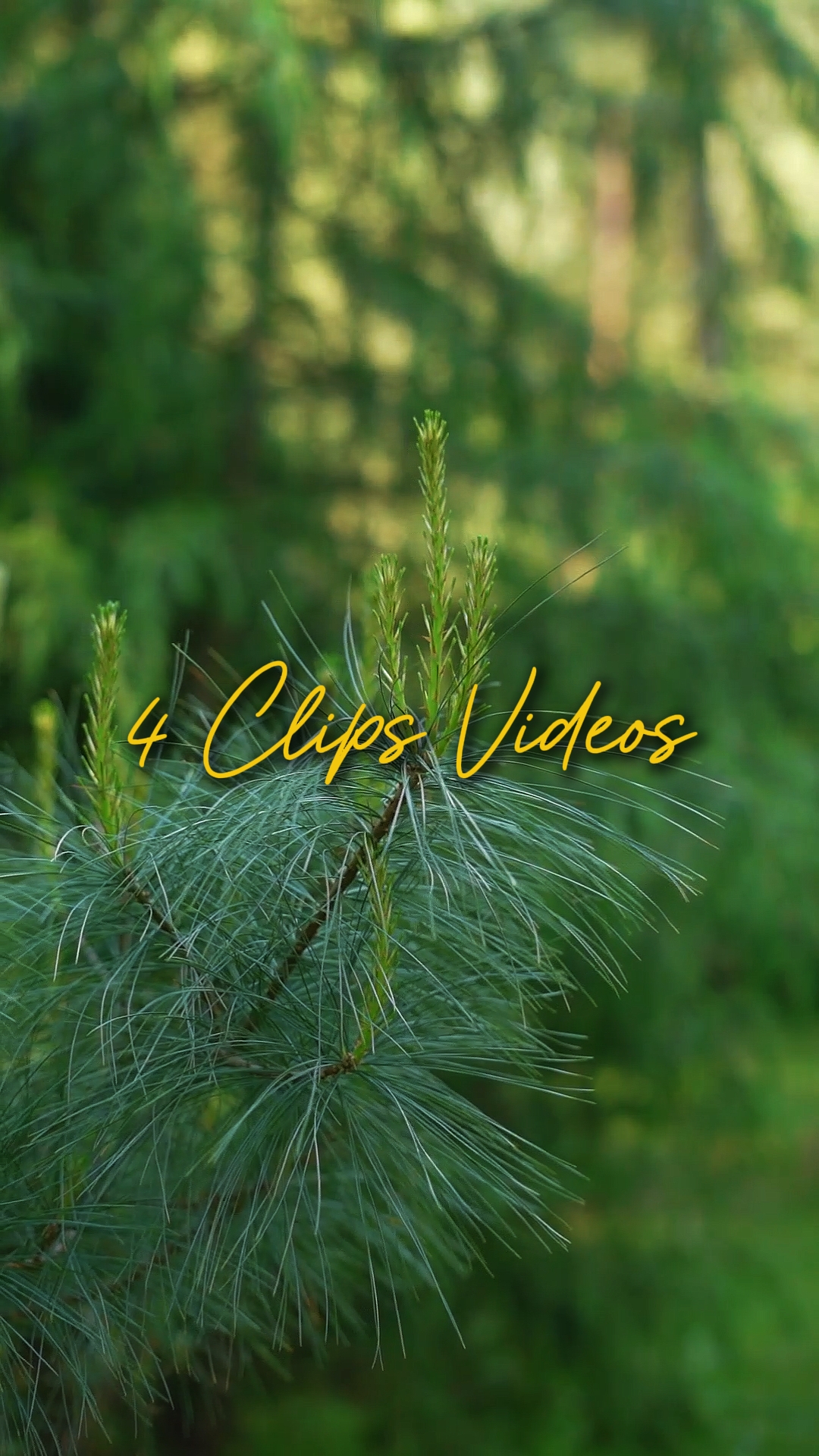 Cinematográfica 4 Vídeos