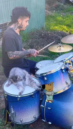 React do batera gato