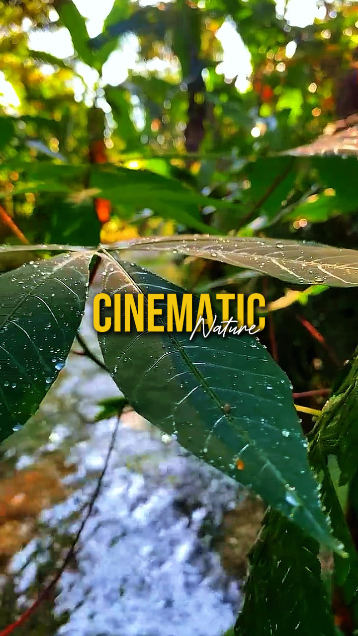 Cinematic Nature 4K
