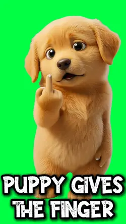 MIDDLE FINGER PUPPY