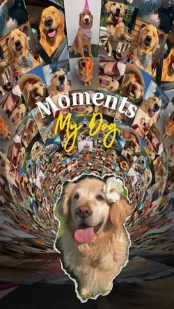 I love my dog moment