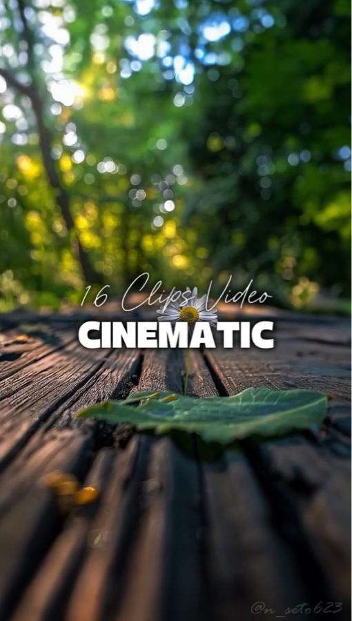 16 Videos Cinematic
